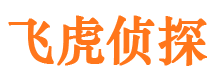 融安市调查公司